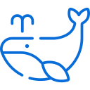 Booking system for whale watching Booking software for whale watching